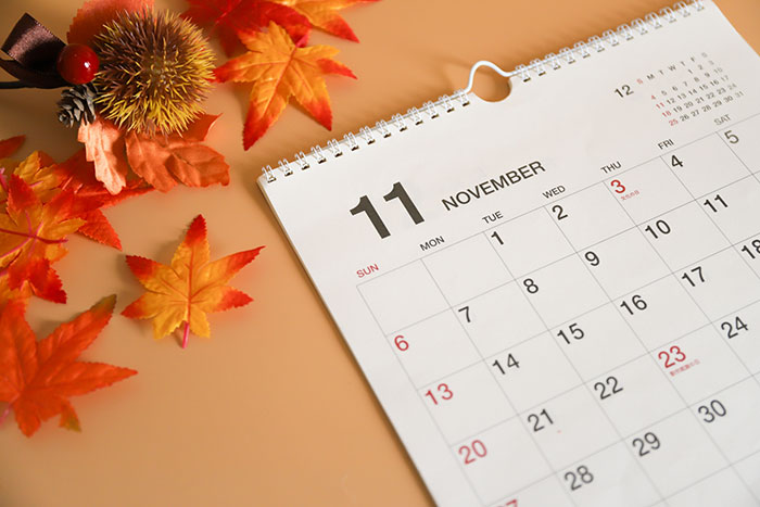 11月診察スケジュール